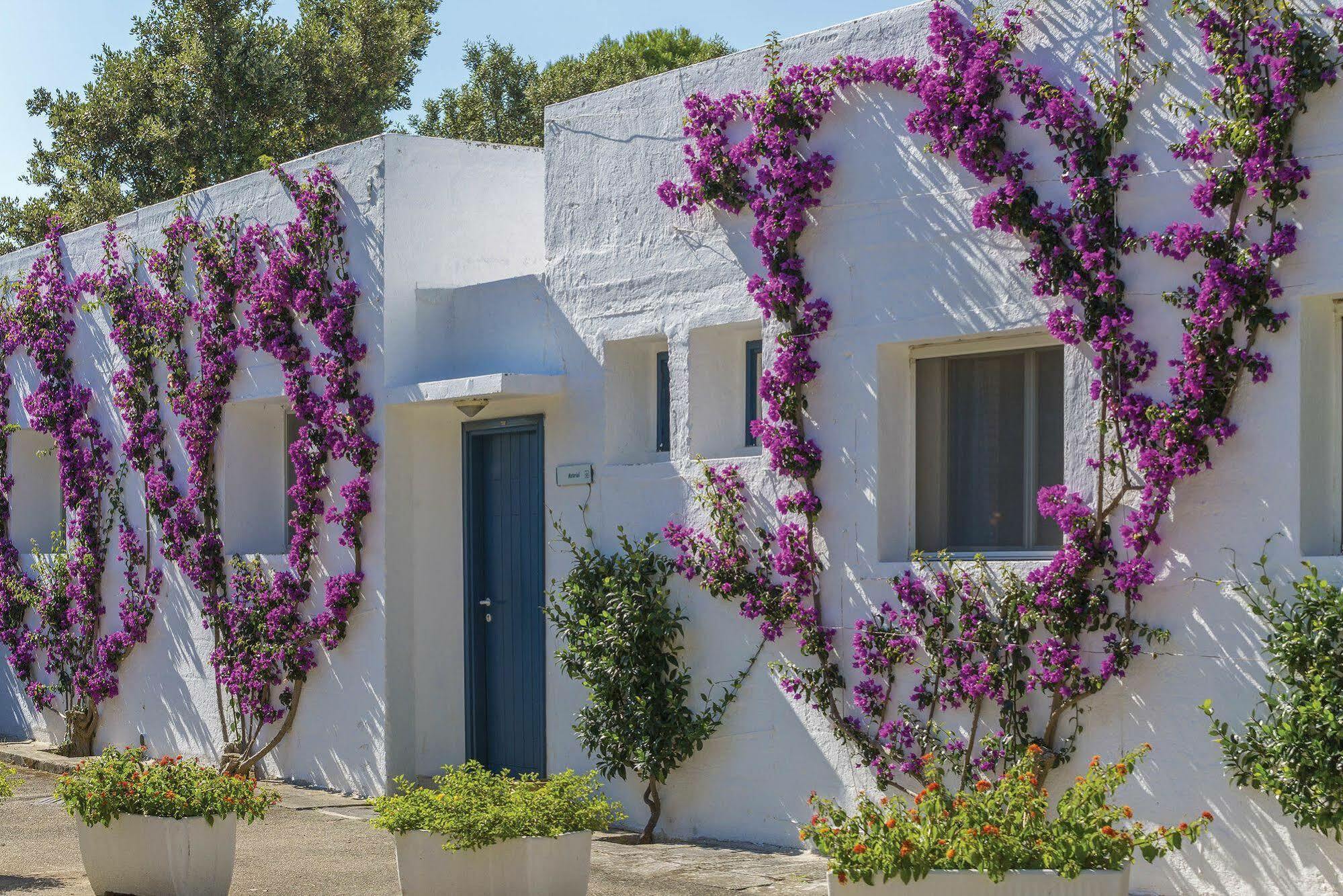 Th Ostuni - Ostuni Village Exterior photo
